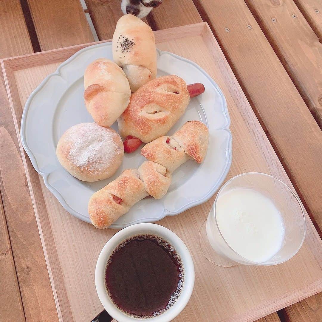 ぱちおまるさんのインスタグラム写真 - (ぱちおまるInstagram)「もらったどんぐりが人格をもっていた🌰🧙‍♀️ お昼はデッキでパン祭り🥐 あんぱんには絶対ミルク必要。コーヒーも必要。  #ぱちおの休日 #狙われしあんぱんまん #スローライフ #海辺の暮らし」10月23日 17時44分 - pachiomaru