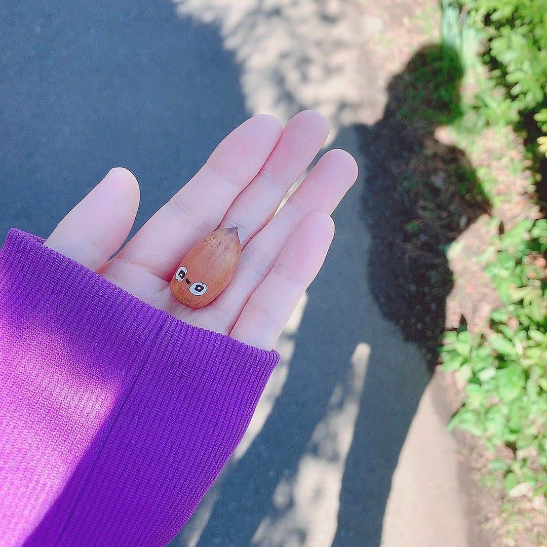 のインスタグラム：「もらったどんぐりが人格をもっていた🌰🧙‍♀️ お昼はデッキでパン祭り🥐 あんぱんには絶対ミルク必要。コーヒーも必要。  #ぱちおの休日 #狙われしあんぱんまん #スローライフ #海辺の暮らし」