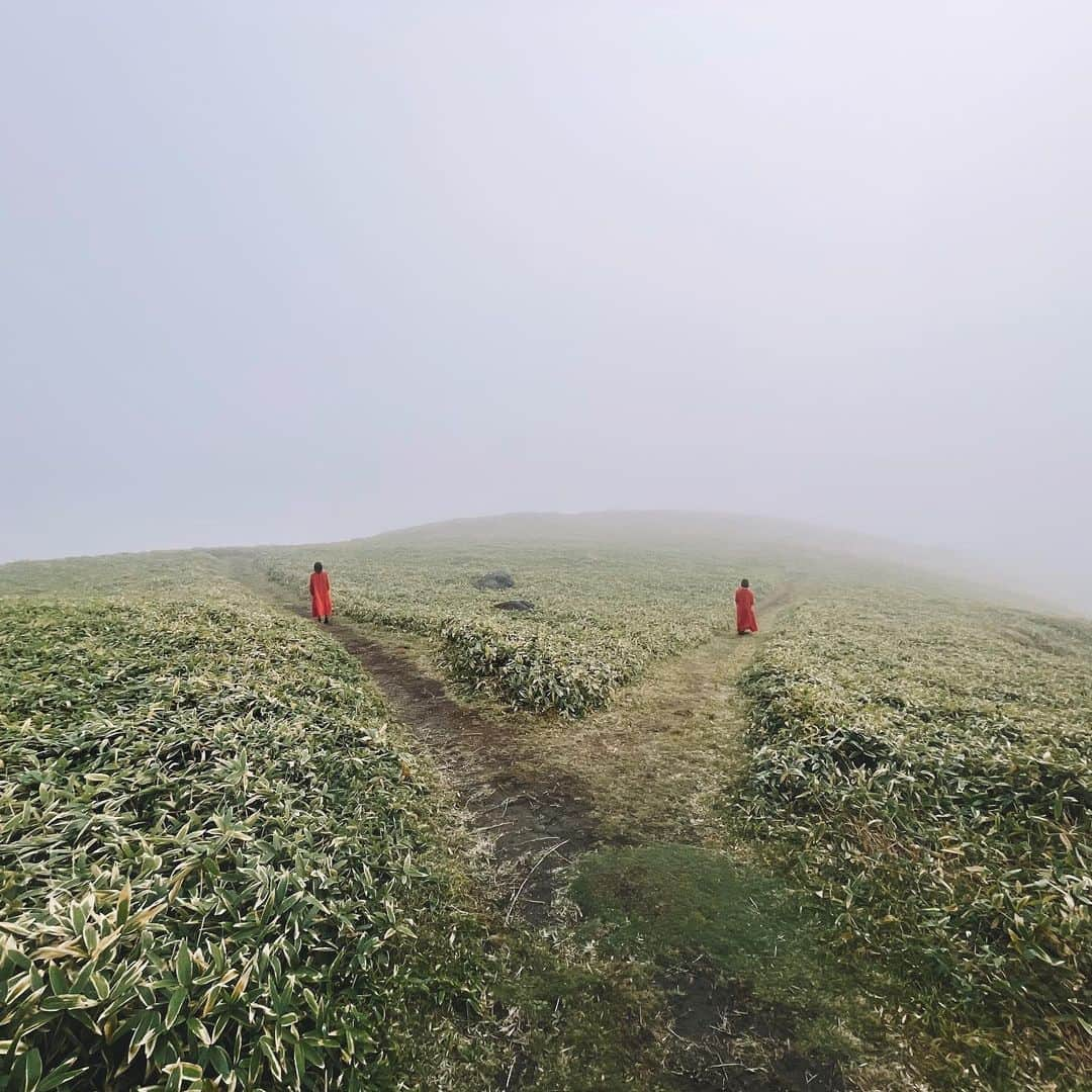 Koshiのインスタグラム：「a walk in the clouds. #Kirigamine-Kogen」