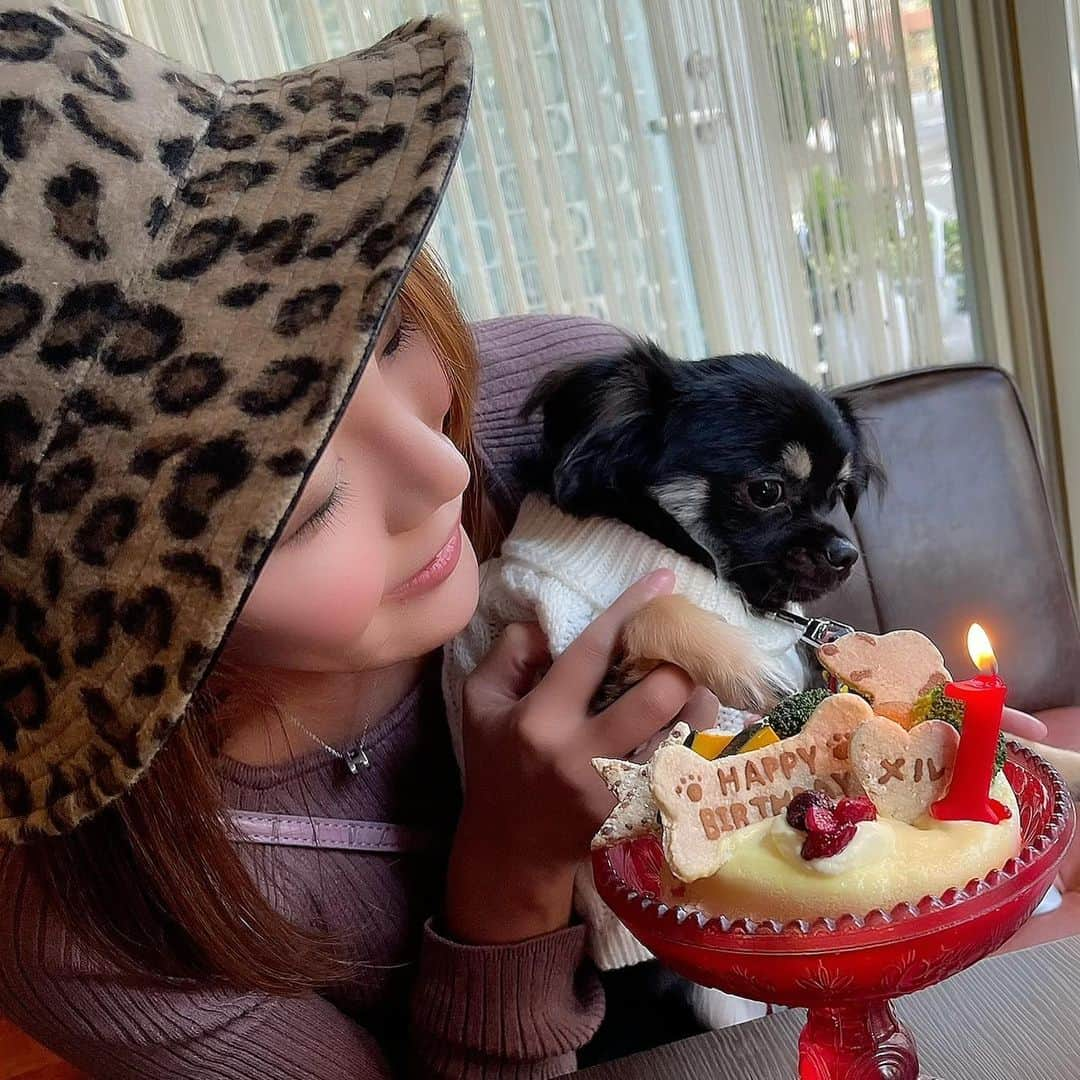 COCOのインスタグラム：「メルちゃん一歳の、お誕生日おめでとう🥰❤️」