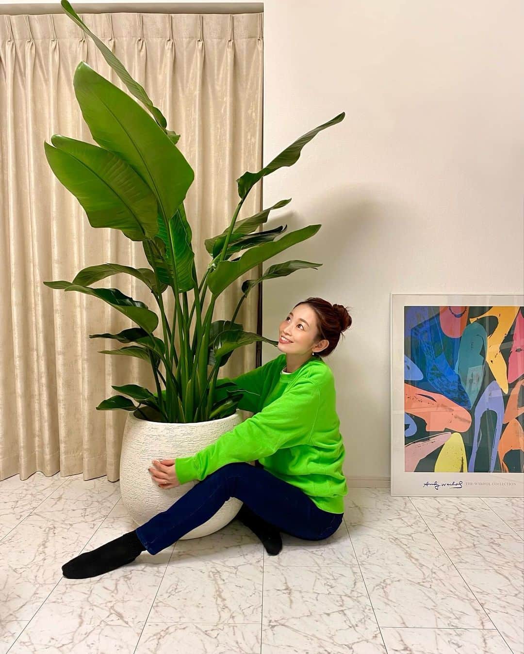 のインスタグラム：「植物さん🪴💚 元気に育ってはほしいけど もうこれ以上大きくならないで😇 . . . #ストレリチアオーガスタ #🪴#最近の #マイブーム #インテリア #収納 #断捨離 #グリーンインテリア #観葉植物 #懲りずにまた買おうとしている #癒し #おうち時間」