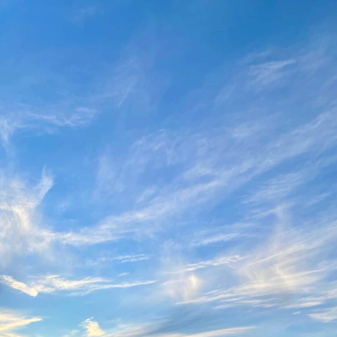 吉井明子さんのインスタグラム写真 - (吉井明子Instagram)「꙳✧˖°⌖꙳✧˖°⌖꙳✧˖°⌖꙳✧˖°⌖꙳✧˖°⌖꙳✧˖° 秋晴れの空に描かれる雲が、美しい一日でした✨  今はもう外は真っ暗🌉 冬の足音を感じますね😌  ✨初めてリールというものを作ってみました👀よかったらご覧ください☺️✨  #東京の空 #初リール #気象予報士 #気象キャスター #weatherforecaster #기상캐스터　#氣象主播 #吉井明子」10月24日 17時31分 - akiko_yoshii_sunny_rain