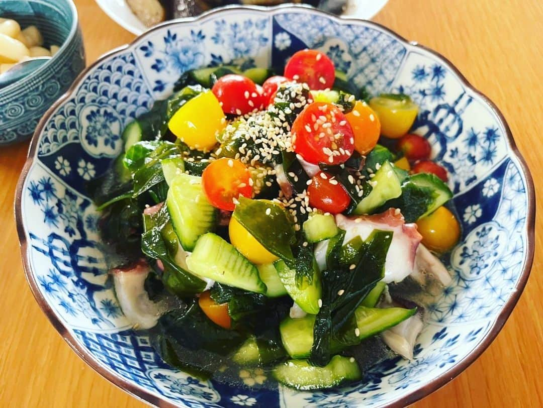 武田訓佳さんのインスタグラム写真 - (武田訓佳Instagram)「🐙🤎 ・ 最近のたけだの食事情🤍 寒くなってきたから？ 茶色いものが多いです🦤🍂🦫🍗🥨 ・ ・ ✔️たこ焼きとおでんのブラウン定食 おでんは母おでん🍢💕 こんぶのお出汁が最高でした。 おでんの練り物だいすき🤤 ・ 締めもしっかりブラウン。 @jouvencelle_kyoto  の竹取物語。 何年ぶりかに食べた❤️念願❤️ これを超えるパウンドケーキには まだ出会えていないくらい好き🥺 (そもそもパウンドケーキの域を超えている) ・ ✔️わかめパーティー いただきものの徳島のわかめで たことマリネ(また🐙食べてるやん🤭) オクラとナムル にしていただきました🤍 とろとろぷりぷり😍 赤味噌でお味噌汁も最高…😍😍😍 ・ ✔️スペアリブの角煮 ごはんや訓佳の定番、久々登場🤎 ・ ✔️肉詰めピーマン 手のひらサイズのビッグで美しいピーマンが 手に入ったのでこのメニュー🤍 2つぐらい食べたらお腹いっぱいになれる 幸せメニュー🐷🫑💕(3つ食べた) ・ ・ レパートリーがちょぴっとマンネリ化。 みんな最近なに食べてるの〜😋 ・ 今年の冬は色んなお鍋とか お取り寄せもしたいな🥰 ・ ・ ・ #ごはんや訓佳 #近況 #母レシピ #ブラウン定食 #ブラウン食 #たこ焼き #おでん #🍢 #竹取物語 #マリネ #ナムル #わかめ #スペアリブの角煮 #スペアリブ #ピーマンの肉詰め #肉詰めピーマン #たけだの日常 #食」10月24日 10時27分 - kunika0117