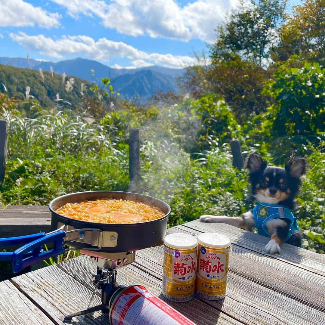 らんままのインスタグラム：「こんにちは！ 天気がいいので紅葉狩りに来て山ラーしてます 今どきハイキングって言わないのかな？ 楽しい〜♪  #ふなぐち菊水一番しぼり ⁣ #菊水#ふなぐち#日本酒#酒#PR #ハイキング#アウトドア#紅葉狩り#山ラー」