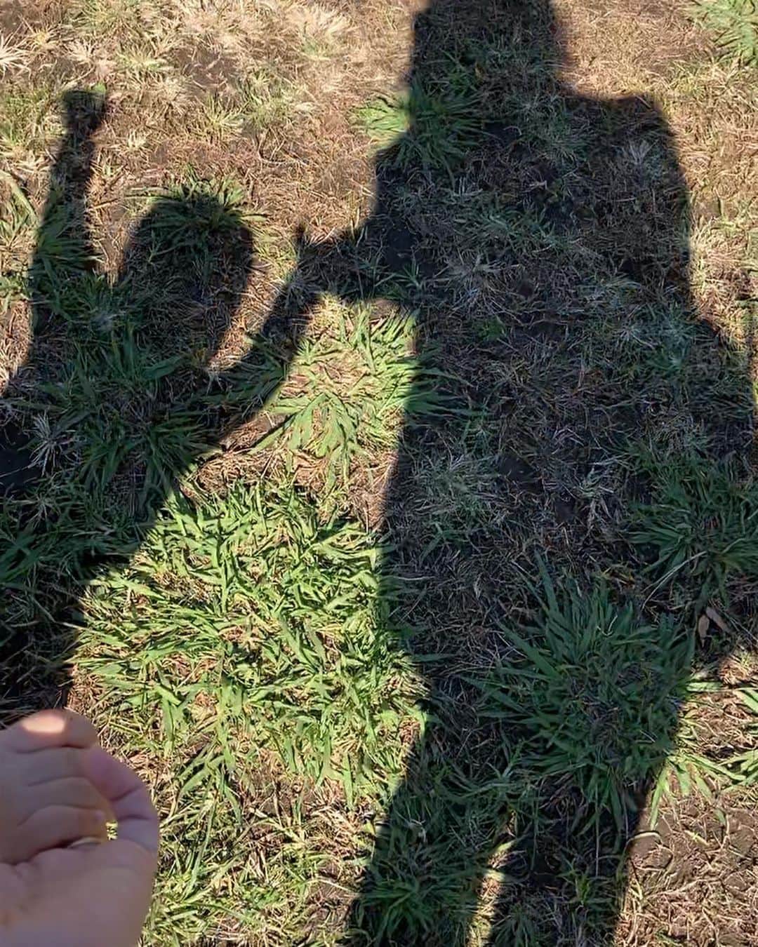松尾由美子さんのインスタグラム写真 - (松尾由美子Instagram)「今日は全国的に☀️だったところが多かったようですね。 親子で芝生のある公園をお散歩。 たくさん歩きました。 これから日が陰ると途端に冷えてくるので要注意ですー❗️ ↑自戒を込めて  #晴れ ると気持ちいいね　 #手 をつないでないと興味の赴くまま危なっかしい💦 #影　がくっきり楽しくてパチリ」10月24日 15時45分 - yumikomatsuo5