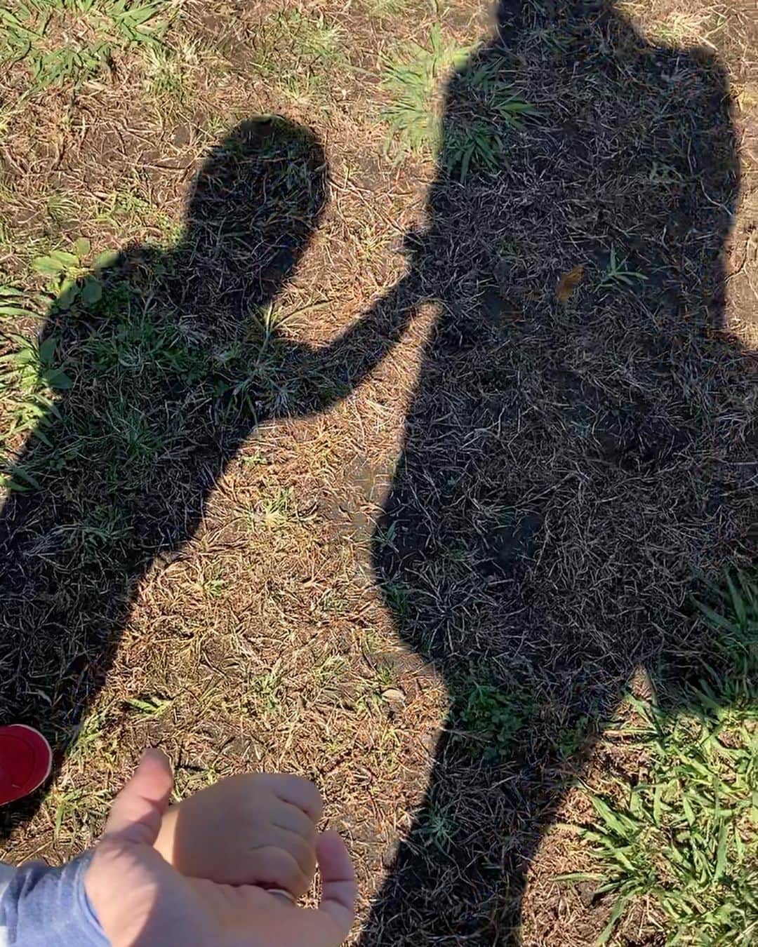 松尾由美子さんのインスタグラム写真 - (松尾由美子Instagram)「今日は全国的に☀️だったところが多かったようですね。 親子で芝生のある公園をお散歩。 たくさん歩きました。 これから日が陰ると途端に冷えてくるので要注意ですー❗️ ↑自戒を込めて  #晴れ ると気持ちいいね　 #手 をつないでないと興味の赴くまま危なっかしい💦 #影　がくっきり楽しくてパチリ」10月24日 15時45分 - yumikomatsuo5