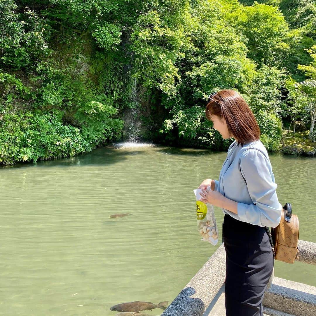 藤村椿のインスタグラム：「. . . 自然だいすき😌🌿🍃🌱  #あさば #伊豆 #静岡県 #修繕寺 #修繕寺温泉  #食後に鯉に餌やり #たびすたぐらむ  #タビスタグラム #自然風景 #旅スタグラム #旅行的意義 #旅ラブ #国内旅行好き」