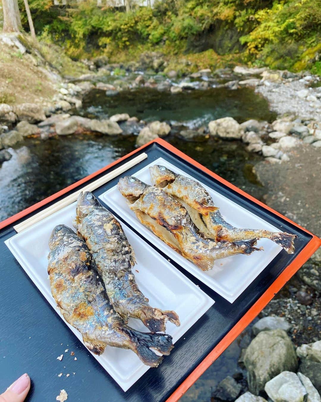 ririさんのインスタグラム写真 - (ririInstagram)「楽しすぎる😹🎣🍁✨ #釣りガール　🐟🐟🐟 さき吉と大自然を満喫して 釣り最高すぎたっ💚 たくさん釣れたょ🐸✌️ お魚美味しかった😚✌️ きゃっきゃはしゃぎすぎた😹  #love #happy #釣り」11月8日 11時57分 - riri.ribon
