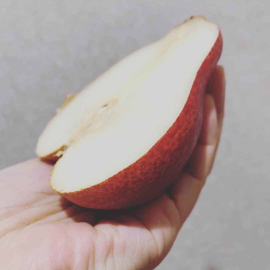 菊池桃子さんのインスタグラム写真 - (菊池桃子Instagram)「*  赤い洋梨🍐 リーガル レッド コミス。 枝変わりで誕生した希少な赤い皮だそうです。 お味は、甘過ぎず程よいです。  もちろん味は個体差が有りそうです。 もっと甘いものも、あるはず😉  #リーガルレッドコミス #朝のフルーツ #赤い洋梨 #山形産」11月8日 6時55分 - momoko_kikuchi_official