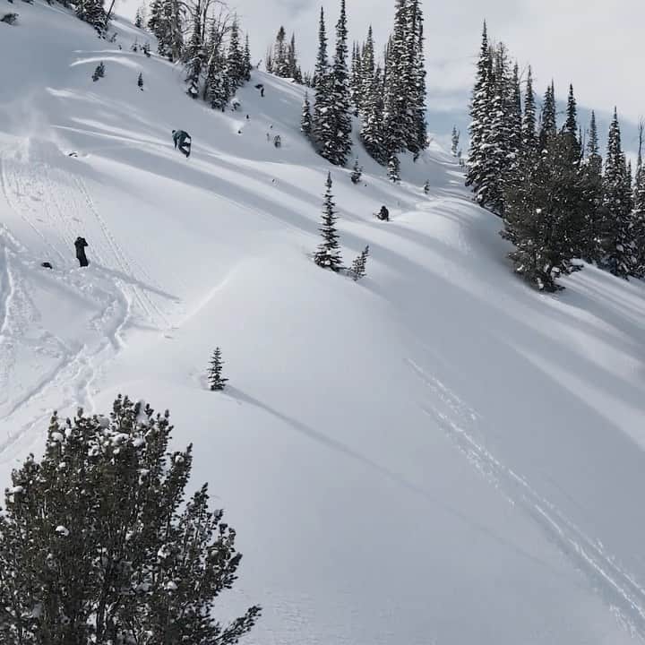 ビラボンのインスタグラム：「最新映像 : The Frontier, Forgotten.  Bode Merrill、Garrett Warnick、Maddie Mastroは、雪深いバックカントリーの奥深くに向かいます。 彼らが見つけたものは?  プロフィールのリンクより、映像をお楽しみください！  Join @bodemerrill , @instagarry and @maddie_mastro as they head deep into the backcountry on a prospecting journey for hidden gems in Idaho.  #BillabongAdventureDivision」