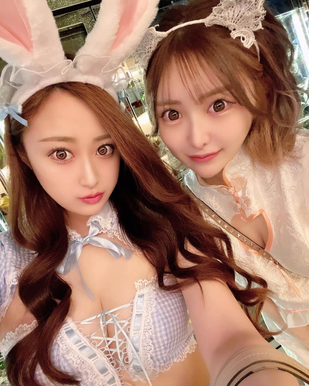 𝑼𝑴𝑰𝑲𝑨のインスタグラム：「・ 今年もハロウィンはうさぎ🐰🤍 ・  #錦#錦3#錦3丁目 #キャバクラ#キャバ嬢#名古屋#栄#女子大#ホスト#歌舞伎町#新宿#ミナミ#北新地#祇園#中洲#すすきの#夜職#ナイツネット#サロンドゴールド#おうち時間#シャンパン#followe#f4f#followforfollowback #いいね返しは絶対 #いいねした人で気になった人フォロー #いいね返し  #ハロウィンコスプレ  #ハロウィン」
