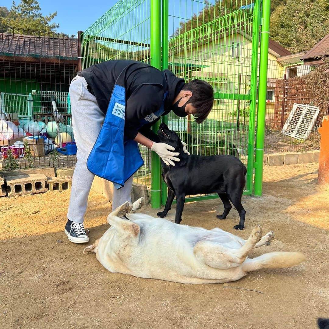 イ・テファンのインスタグラム：「니가 좋으면 나도 좋다…😂 #사지말고입양하세요」