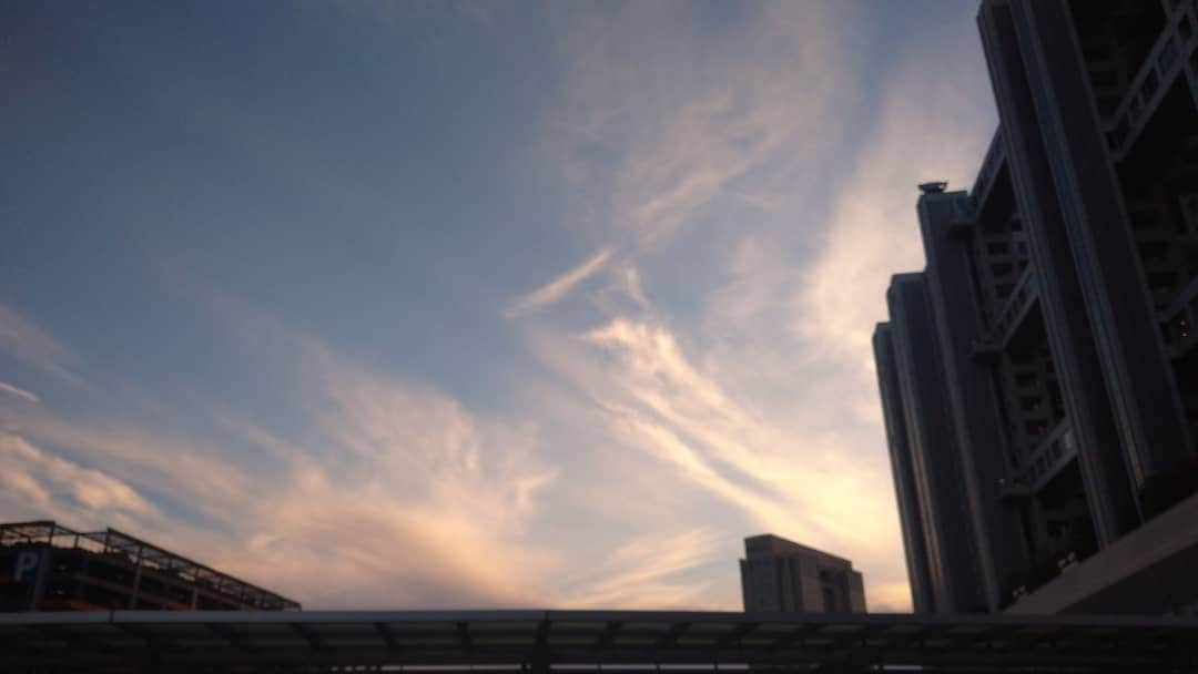 丸本凛さんのインスタグラム写真 - (丸本凛Instagram)「#instamood #instagood #photooftheday #tokyo #odaiba #ferriswheel #bluesky #rainbowbridge #autmn #sunnyday #niceview #tokyotower」10月24日 21時23分 - rinmarumoto