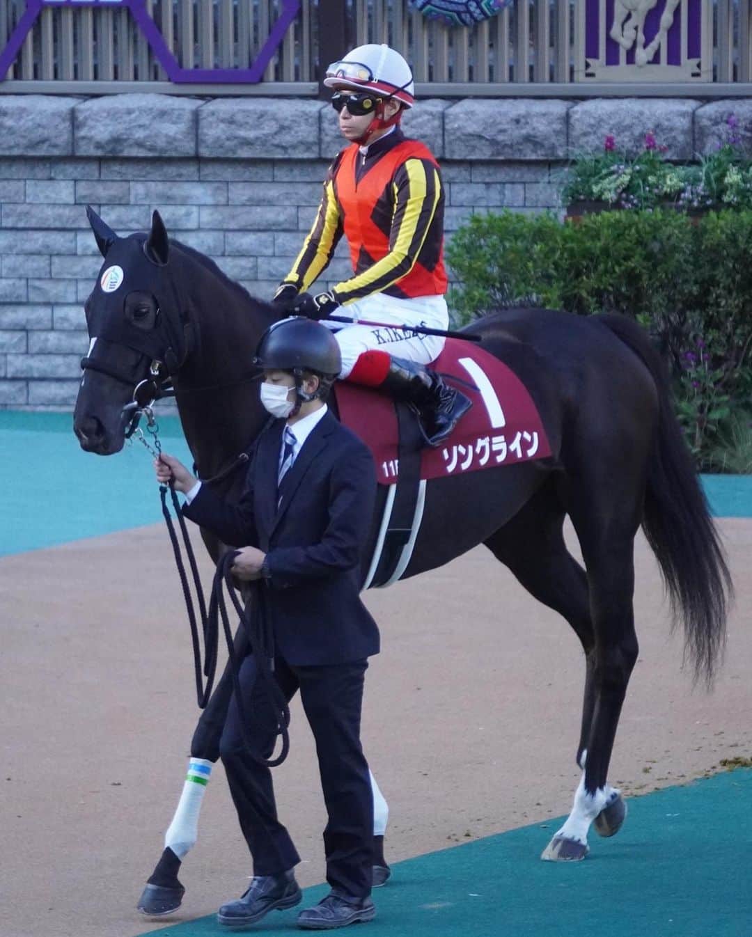 のインスタグラム：「ソングラインで富士ステークスを勝つことができました🏇 ようやく一緒に勝てて嬉しかったしホッとしました。 いい形で成長してくれていってますし、このまま無事にいってくれたらと思います(^^)  今日のヴィクティファルスは返し馬で状態がすごく良く感じて、状態の良さで距離をカバーして欲しいなと思ってたんですけど… この距離は長いように感じました。 力はある馬です🐴 改めて中距離で頑張れると思うのでまた応援してください‼︎」