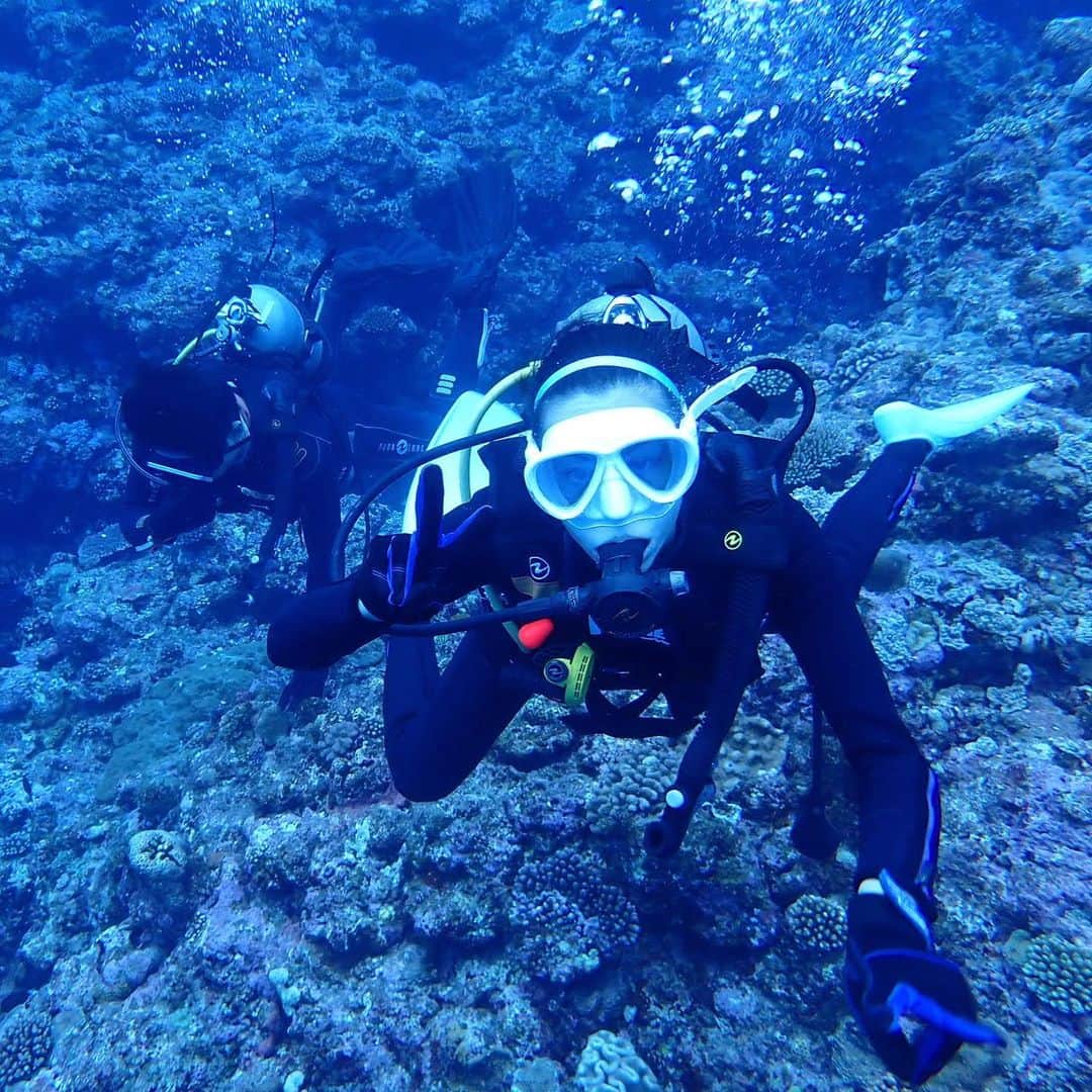 水原希子 さんのインスタグラム写真 - (水原希子 Instagram)「念願の大きなコブシメに会えた！  隣で一緒に泳がせてくれて、まあるいお口が🦑🥺💕  可愛いウミウシちゃんと巨大バイカナマコと美しい珊瑚たちに癒されました🐠🎶💞  I had a chance to swim with Giant cuttlefish and sea slug!! also found a giant spiky sea cucumber !! I’m officially addicted to scuba diving 🤿✌🏻  #希子の海物語」10月24日 23時06分 - i_am_kiko