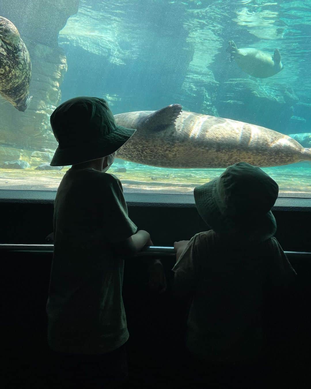 春名亜美さんのインスタグラム写真 - (春名亜美Instagram)「鴨川シーワールド🐬  ウミガメに対する愛がものすごい息子たち(特に長男)。  何回行くん？ってくらい、カメの赤ちゃんゾーンへ連れてかれました🐢  シャチとイルカのショーは何回見ても感動する☺️ ・ ・ ・ #鴨川シーワールド #鴨シー #kamogawaseaworld #男の子ママ #兄弟 #水族館 #aquarium」10月24日 23時39分 - amiharunaami