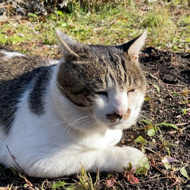 土肥美帆のインスタグラム