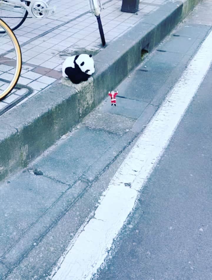 たむらぱんのインスタグラム