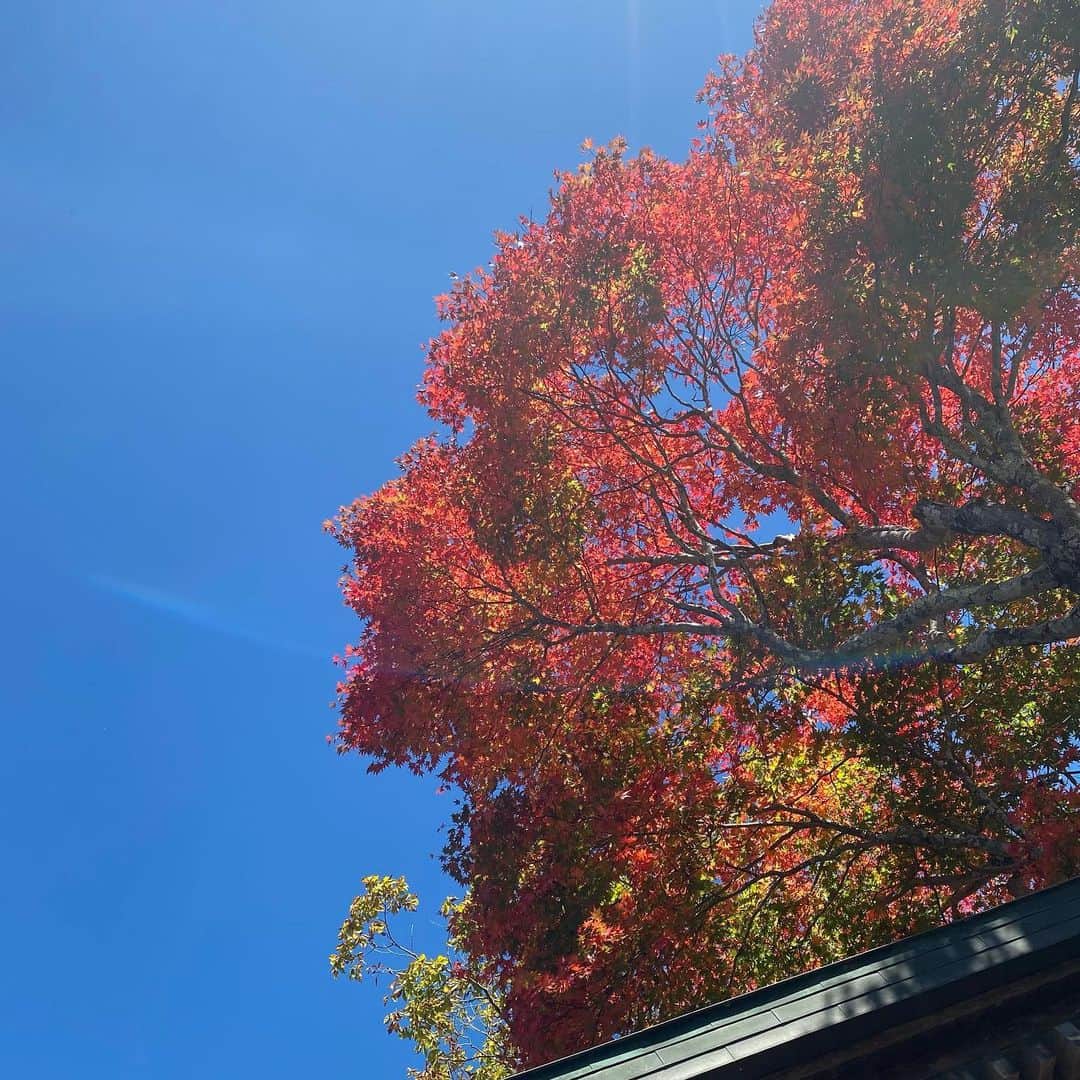 松元絵里花さんのインスタグラム写真 - (松元絵里花Instagram)「* 紅葉って一瞬だよね🍁 ロケ日の前後は雨だったのに、 この日は奇跡的に晴れた🧡 最後の写真は、 那須ロープウェイから🚡 空気も美味しくて、 気持ちよかったな〜。 #栃木県#日光#那須」10月25日 20時45分 - matsumoto_erika