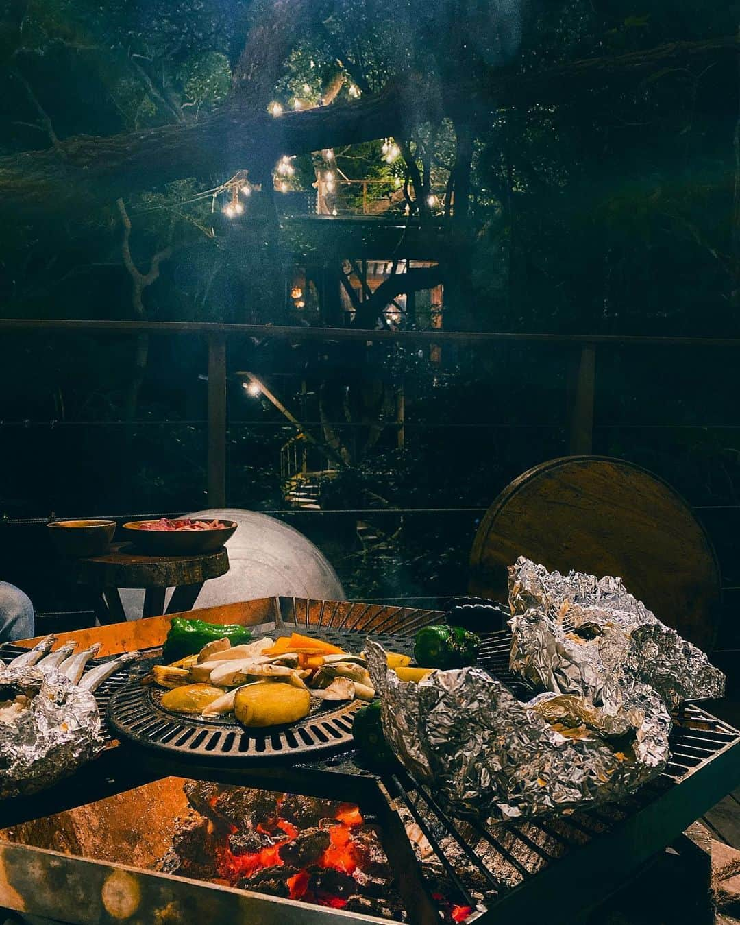 ヴァネッサ・パンさんのインスタグラム写真 - (ヴァネッサ・パンInstagram)「I had my dream came true. Which is visit a real tree house such like here! 夢リストの一つ、本物のツリーハウスに泊まる！絵本の中から出てくるような、正真正銘木が貫通したツリーハウス🪵  絵本のようなツリーハウスを2棟貸し切って2泊した。女子3人旅。焚き火に囲い、ビジネスや大自然との共存の話をしたり、これ以上最高な体験はないわ！😭  #treeful #treefultreehouse #treehouse #ツリーハウス　#起業家　#女性実業家#女性起業家 #沖縄旅行　#沖縄大自然 #自然との調和 #ジビエ　#木屋　#visitjapan #okinawatrip」10月25日 20時59分 - kazuminoomi