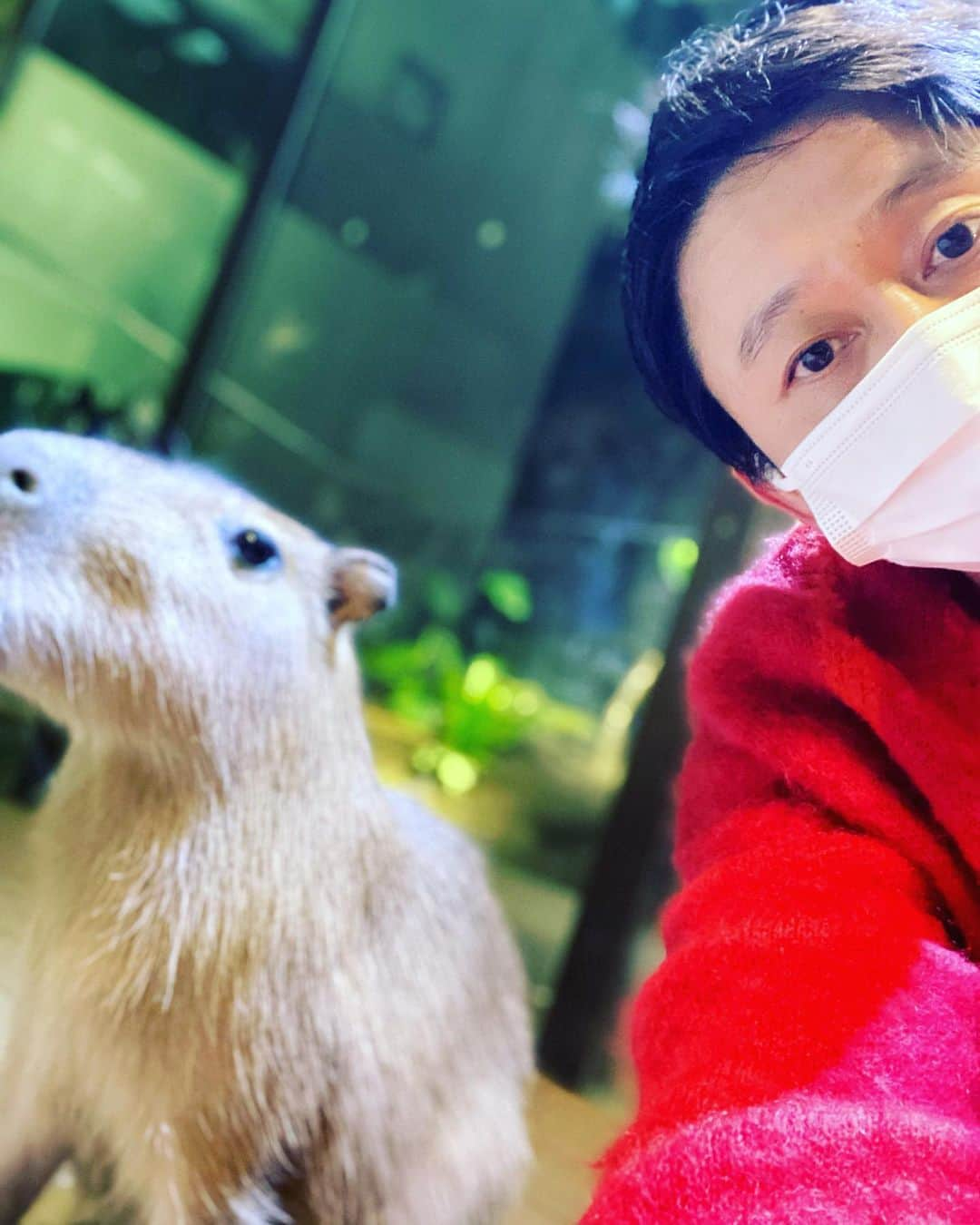 有吉弘行さんのインスタグラム写真 - (有吉弘行Instagram)「私とカピとナマケ。」10月25日 21時34分 - ariyoshihiroiki