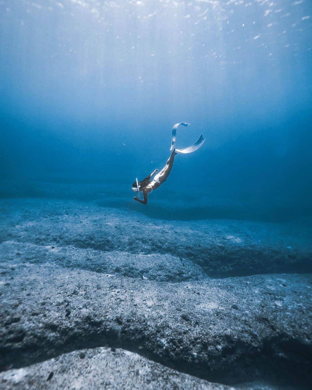 H I R O M I M O R I Y Aのインスタグラム：「Underwater trip🌊  ぴーちゃんいつもありがとう📸🐬  @smile_pii   そろそろニューレンズのお披露目かな？？😆  Camera:sony a7iii Lens:16-35 zeiss  #underwaterphotography #paditv #underwater #ocean #underwaterlife #scubadiving #earthshotz #planetearth  #freediving #freedivephotography #sonyalpha #alpha_newgeneration_bysony  #ダイビング　#ダイビング好きな人と繋がりたい #宮古島ダイビング　#宮古島　#スキンダイビング  #水中写真　#自由潛水　#海好きな人と繋がりたい　#八重干瀬　#alpha_newgeneration_bysony」