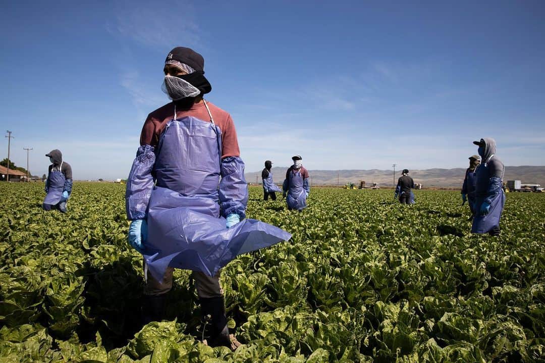 マイケル・ペーニャのインスタグラム：「My parents were farmers. Their parents were farmers. Thank you to those who work through this pandemic. It can’t be easy.」
