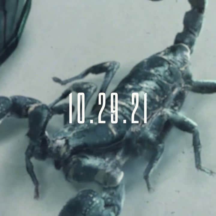 ブランドン・フーバーのインスタグラム：「THIS FRIDAY 👑 10.29.21」