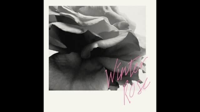 佐藤奈々子のインスタグラム：「新しいアルバム、"Winter Rose "のティーザーを作ってみました。全曲ではなのですが、ほんの少しずつ。いろいろなバージョンを作ってみます。まずはvol.1 ぜひ聴いてみてください。 Winter Rose by Nanaco Sato & Susumu Osada」