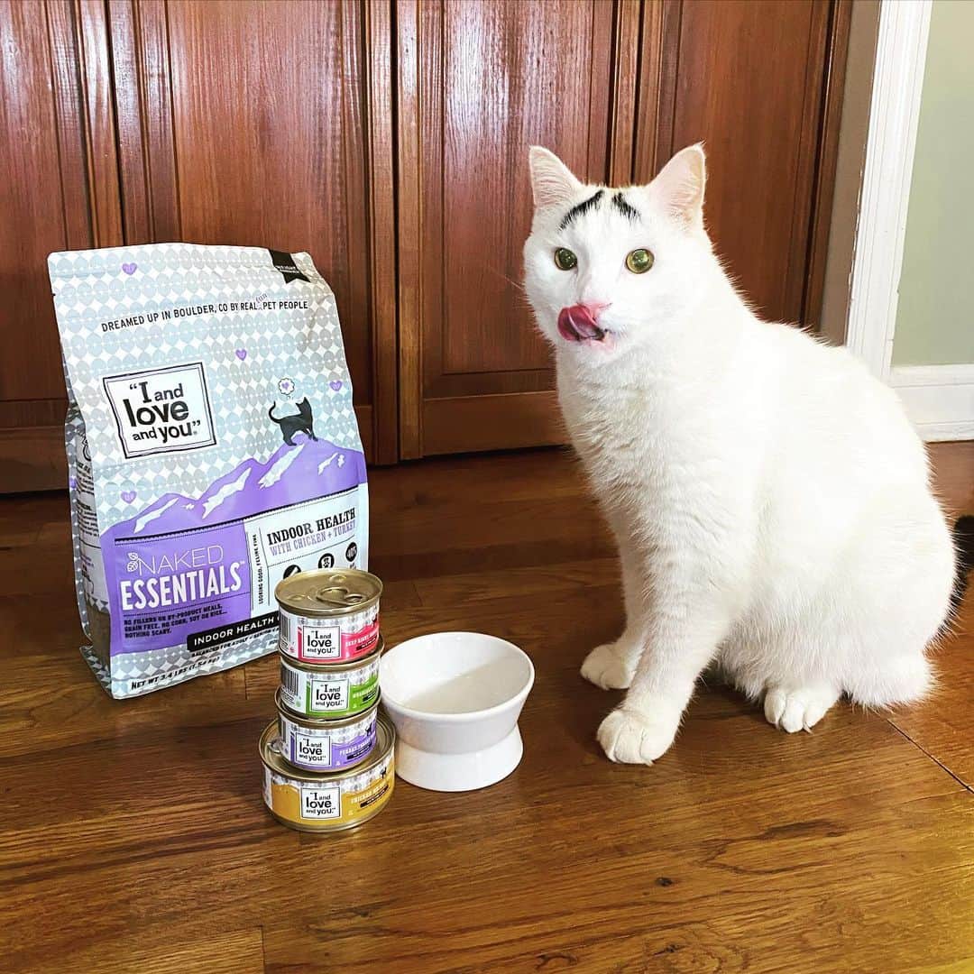 Samのインスタグラム：「Alright folks, we have finally found a food that Sam likes AND is ethically responsible!! At Sam HQ, we shop as budget, pet, and ethically as possible and with cat food we were almost consistently let down because we never found food that Sam actually liked the taste of. Luckily, we were introduced to @iandloveandyoupet and we’re never turning back (the rabbit and chicken were a huge hit). In addition to checking all of our environmentally and ethically responsible boxes, they are HUGE on donation, giving to places after disasters or even if they just have a surplus. If you want to try for yourself, use EYEBROWS10OFF for $10 off your purchase of a $20 minimum. If your flavor is sold out on their website, you can try Chewy, Amazon or Target  for other options! #MyILYPet #iandloveandyoupet」