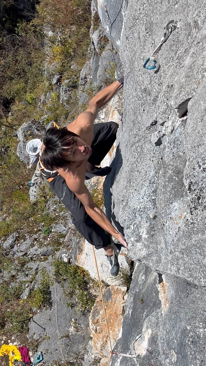 安間佐千のインスタグラム：「二子山西岳の南面側の最上部、山頂直下に位置するところに壁がある。二子山でも最も高い位置にあるエリアで、ロケーションは最高。白壁に対して、真っ黒な様相から、"黒壁"と名付け、開拓を進めてきた。  僕もそこに2本のルートを開拓し、今年の春先に1本初登を終えていた。ずっと名前が思いつかなかったのだが、ついに決まった！  Slap your earth 7c+  箱型のルーフを乗り越えるパワフルな一本。 @yuji_hirayama_stonerider に第2登、 @kayaowl に第3登していただき、グレードもだいたいそのあたりとのこと。  そして午後にはすぐ左隣の真っ白な壁のプロジェクトをトライ。秋の冷えた空気も助け、突然に完登することができた！まだ名前とグレードが定まらないので、こちらは後日発表しようと思う。  秋晴れの、素晴らしい1日だった！  I have been developing an area called “Kurokabe” since this spring. It is just below the summit of Mt. Futago.   I have bolted two routes and got FA of the box project last spring. Time has passed but I gave a name yesterday.  Slap your earth 7c+  Very powerful compression route! @yuji_hirayama_stonerider got 2nd ascent and @kayaowl got 3rd ascent. And they said grade is around 7c+👍  And then, I tried harder project that afternoon. It was 4th day to work and found innovative beta! It was very windy day and I got FA just before the sun set.   It was a beautiful autumn sunny day!  🎥 by @maechan82kgclimber   @adidasterrex  @adidas  @fiveten_official  @petzl_official  @newhale_japan  #アルテリア  @oganoclimbing  #rockclimbing #firstascent #loveearth #futago #小鹿野町 #二子山 #黒壁」