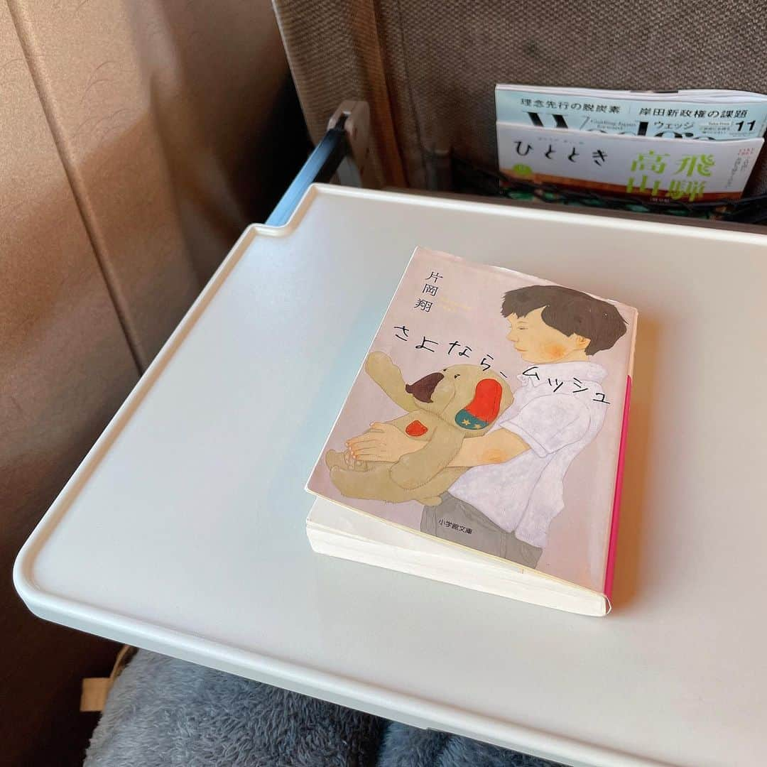 田中美里さんのインスタグラム写真 - (田中美里Instagram)「だめだ、、、 これ、移動中に読んだらだめな本だった。 涙が溢れてマスクがびしょびしょ。 顔隠れててよかった。  またあらためて、モーニングクルージンでもご紹介しますね。  #片岡翔 #さよなら、ムッシュ #小学館文庫  #ミサトショ」10月27日 11時20分 - misatotanaka77