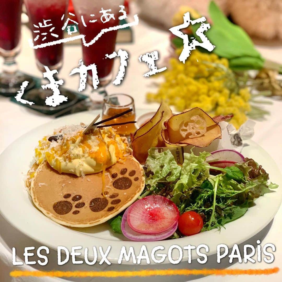 吉川ちえのグルメインスタ