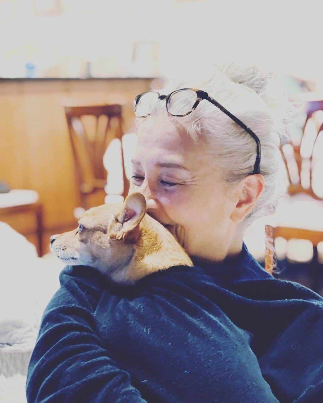 結城アンナさんのインスタグラム写真 - (結城アンナInstagram)「🐶スキンシップの時間💕Hugs🐶 ♡☆☆♡☆☆☆☆☆♡☆☆☆☆☆ #iamozzy🐶 #bestdogever #保護犬 #adoptdontshop #自分をいたわる暮らしごと #北欧が教えてくれたシンプルな幸せの見つけ方」10月27日 7時55分 - ayukihouse