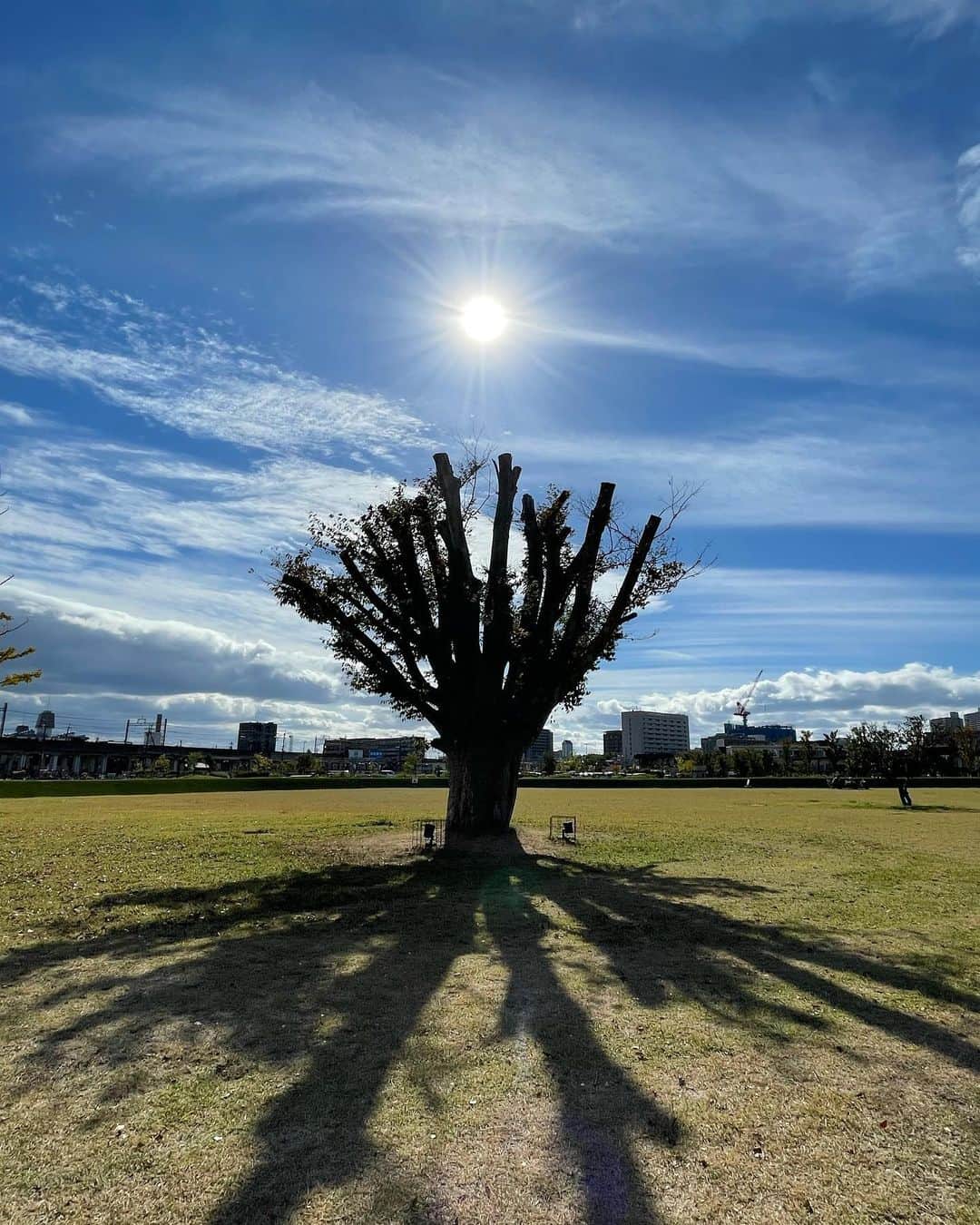 楓ゆきさんのインスタグラム写真 - (楓ゆきInstagram)「⁡ ⁡ ⁡ 　　　　✵✶✴︎ 𝗟𝗶𝗸𝗲 𝗶𝘁 ✴︎✶✵ ⁡ ⁡ 　　　　　𝗣𝗼𝘄𝗲𝗿𖥧𝘁𝗿𝗲𝗲！🤩 ⁡ ⁡ ⁡ ⁡ ⁡ #powerful#tree#sun#sky#shadow #パワーよ届け#Energie #Vitality#生命力#写真#たん」10月27日 9時12分 - yuki_kaede.tan