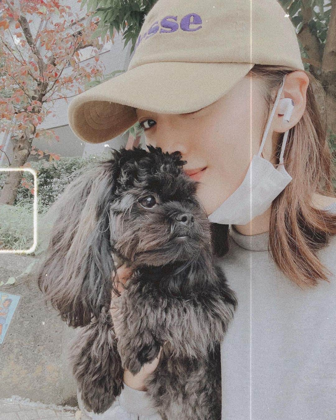 神部美咲さんのインスタグラム写真 - (神部美咲Instagram)「みみとお散歩🐶💜  #シープー」10月27日 20時15分 - jimbu_misaki