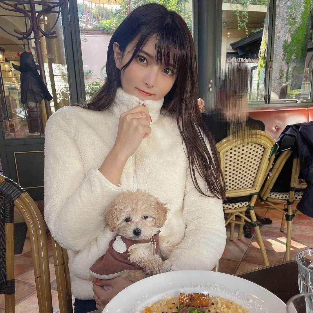 ききまるさんのインスタグラム写真 - (ききまるInstagram)「#カフェ巡り  . . 梅子を連れてカフェに☕️🐶 @umegram_07  . ずーと静かに寝てた😴💤いい子。 . . 茶々ちゃんはお留守番🐱💖 @chachagram_01  . . 最後の写真は、最近買ってよかったと感動している財布(?) @louisvuitton  衝動買いだったけど、本当にコンパクトで使いやすいから重宝してる、、、😭 小さいバックが多いから薄いコインケースが欲しかったんだよおおお . . #カフェ #代官山　#代官山ランチ #代官山カフェ #代官山グルメ #わんこのいる生活 #わんことお出かけ #わんこ部 #わんこと一緒 #わんこok #わんこokカフェ  #購入品　#UNIQLO #ユニクロ」10月27日 13時24分 - kikigram_97