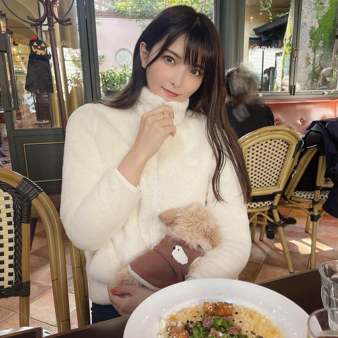 ききまるさんのインスタグラム写真 - (ききまるInstagram)「#カフェ巡り  . . 梅子を連れてカフェに☕️🐶 @umegram_07  . ずーと静かに寝てた😴💤いい子。 . . 茶々ちゃんはお留守番🐱💖 @chachagram_01  . . 最後の写真は、最近買ってよかったと感動している財布(?) @louisvuitton  衝動買いだったけど、本当にコンパクトで使いやすいから重宝してる、、、😭 小さいバックが多いから薄いコインケースが欲しかったんだよおおお . . #カフェ #代官山　#代官山ランチ #代官山カフェ #代官山グルメ #わんこのいる生活 #わんことお出かけ #わんこ部 #わんこと一緒 #わんこok #わんこokカフェ  #購入品　#UNIQLO #ユニクロ」10月27日 13時24分 - kikigram_97