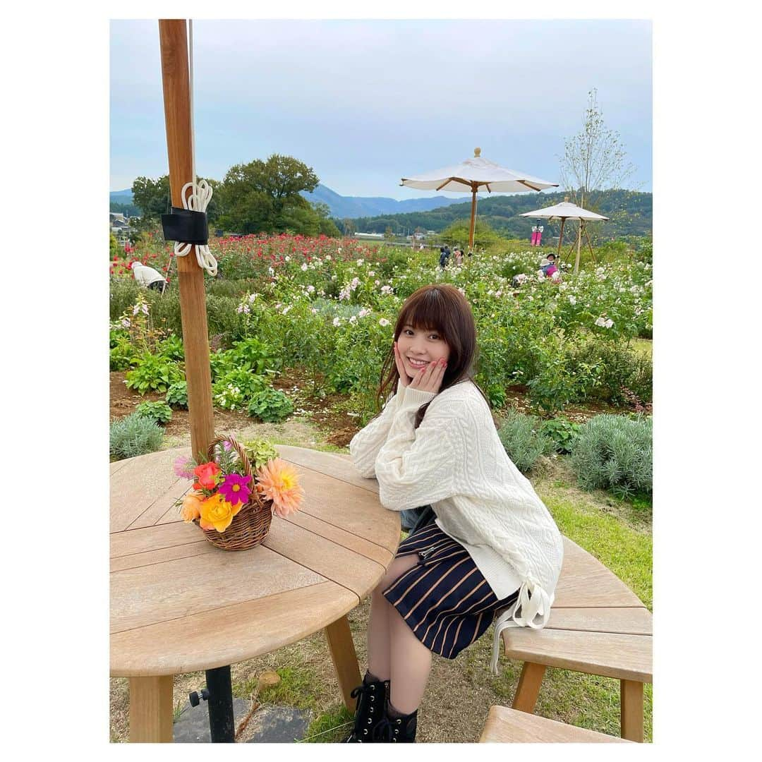 岡部麟さんのインスタグラム写真 - (岡部麟Instagram)「お花たくさん癒されたぁ〜 みんなも行きたくなった〜？ 行こう！行ってくれ〜！🌸  #いばらきフラワーパーク  #茨城 #茨城観光  #石岡市 #岡部麟」10月27日 16時13分 - beristagram_1107