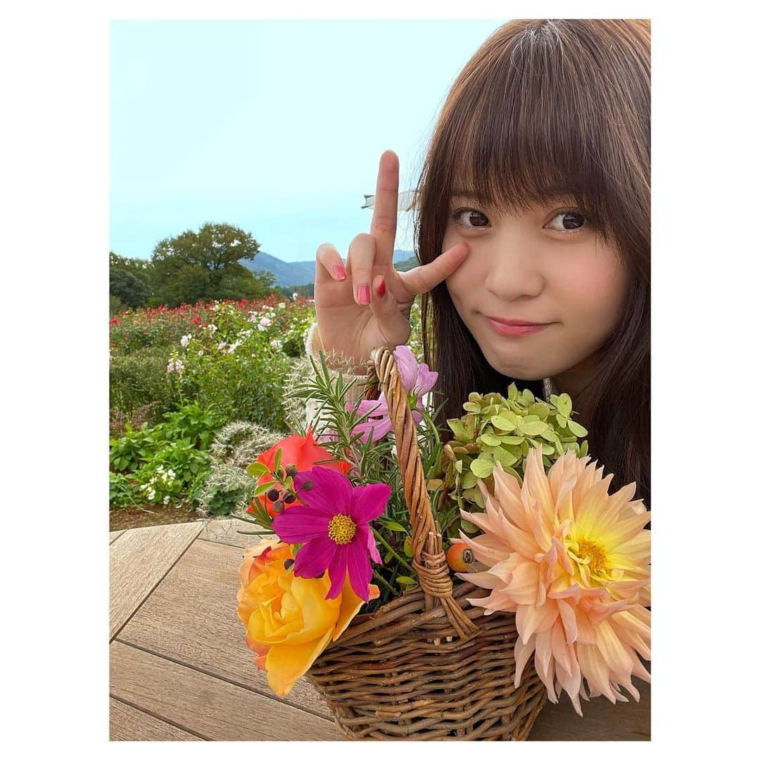 岡部麟さんのインスタグラム写真 - (岡部麟Instagram)「お花たくさん癒されたぁ〜 みんなも行きたくなった〜？ 行こう！行ってくれ〜！🌸  #いばらきフラワーパーク  #茨城 #茨城観光  #石岡市 #岡部麟」10月27日 16時13分 - beristagram_1107