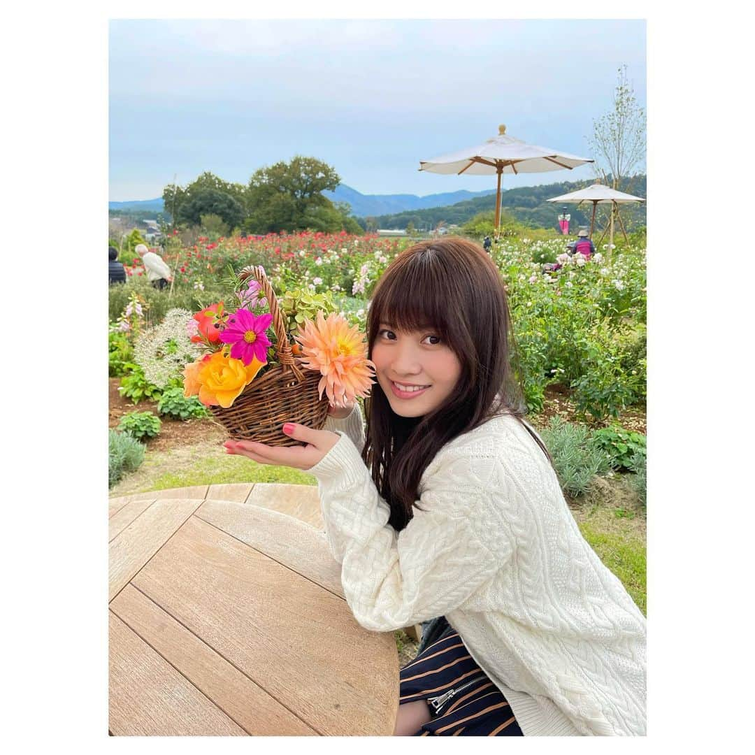 岡部麟さんのインスタグラム写真 - (岡部麟Instagram)「お花たくさん癒されたぁ〜 みんなも行きたくなった〜？ 行こう！行ってくれ〜！🌸  #いばらきフラワーパーク  #茨城 #茨城観光  #石岡市 #岡部麟」10月27日 16時13分 - beristagram_1107