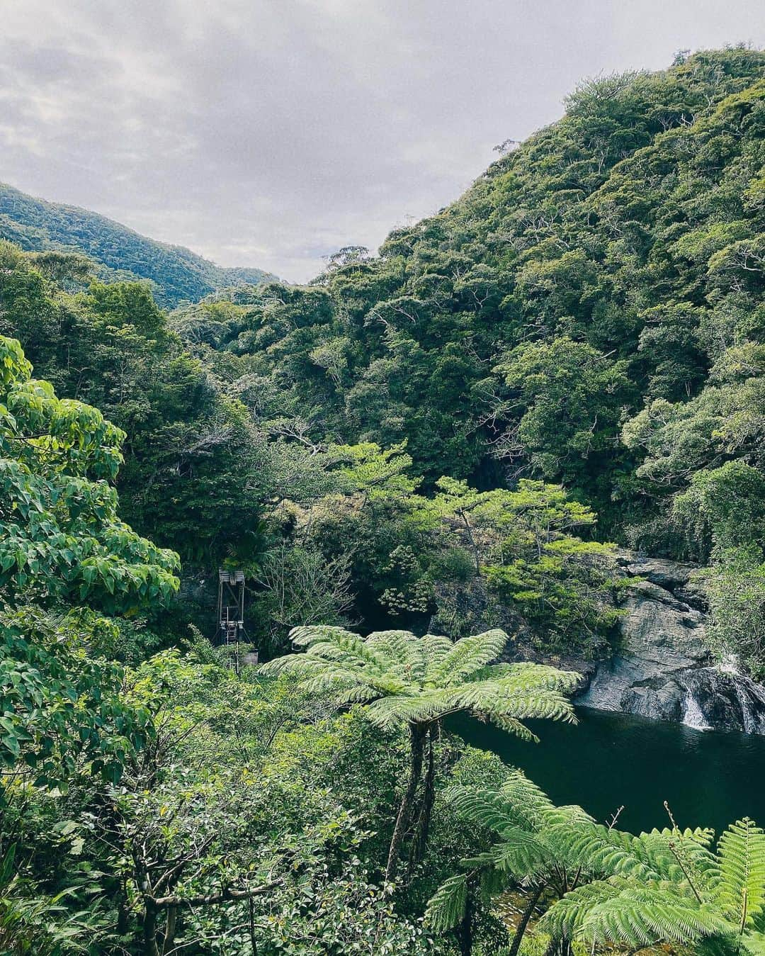 ヴァネッサ・パンさんのインスタグラム写真 - (ヴァネッサ・パンInstagram)「🌳🦐👙 沖縄の未開の土地や誰も知らない集落が使うプール(滝)でエビを拾って素焼きして食べた。  大自然のために頑張りたい年には、到底まだ行っていないが、作りたいサービス、作りたい商品、最終的に到達する場所が建物(生きる場所)かもしれない。とフッと思いました！  ーー  #treeful #treefultreehouse  #ツリーハウス　#沖縄旅行 #女子旅　#女子旅行 #大自然　#大自然満喫 #滝 #水着コーデ #水着女子 #水着美女 #白水着　#okinawa #okinawatrip」10月27日 21時00分 - kazuminoomi