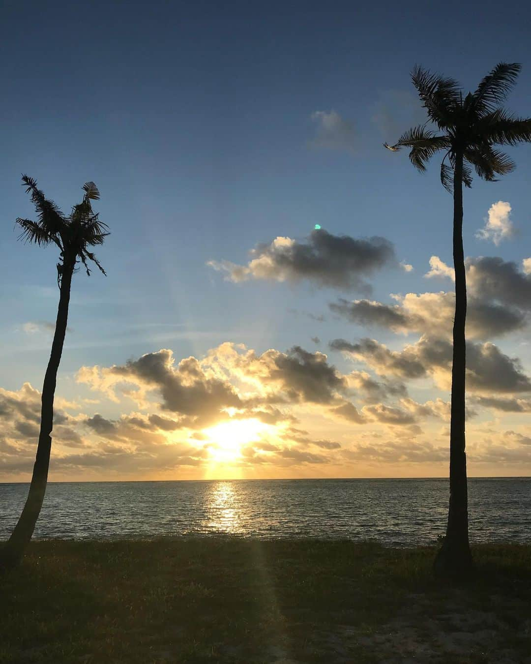 片山萌美さんのインスタグラム写真 - (片山萌美Instagram)「🇫🇯 #定期的nature  #fiji」10月27日 22時38分 - moet_mi