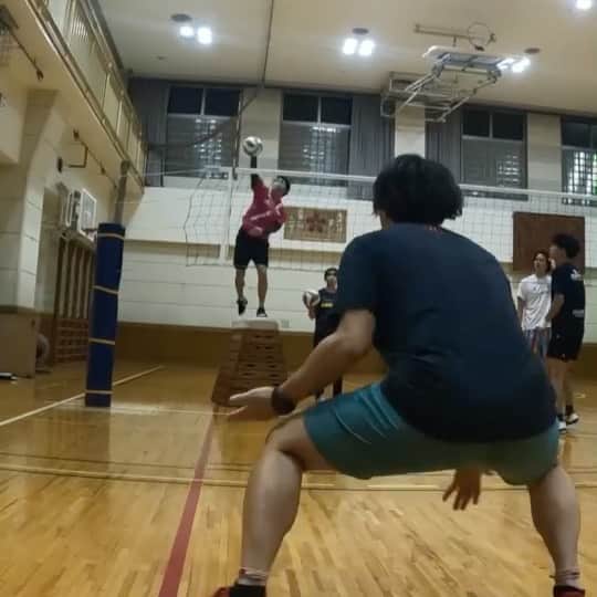 浅岡遥太のインスタグラム：「大学生の時、このレシーブの仕方をしてもっと低い位置で取って床に顔ぶつけて前歯折れました。 しかも堺ブレイザーズの体育館で。 皆気を付けて。 直せって言われたけど直らなかった。。。 歯を大切にしましょう。  #東京スリジエ #tokyocerisier #千代田区地域密着型バレーボールチーム #神田 #バレーボール #千代田区 #volleyball #beachvolleyball #dalponte #モトーレントーマツ#ティーエルサービス #神田和食そらみち #神田丸屋 #神田福はら #武蔵家酒店 #大塚製薬 #ママネーナの学校 #リードスポーツ#TSM #colancolan #株式会社安田 #高級一軒家スタジオ #日本アルゼンチン文化大使 #長崎JPIC #zamst #株式会社シンク#防災スポーツ #株式会社PINZORO #絶好鳥」