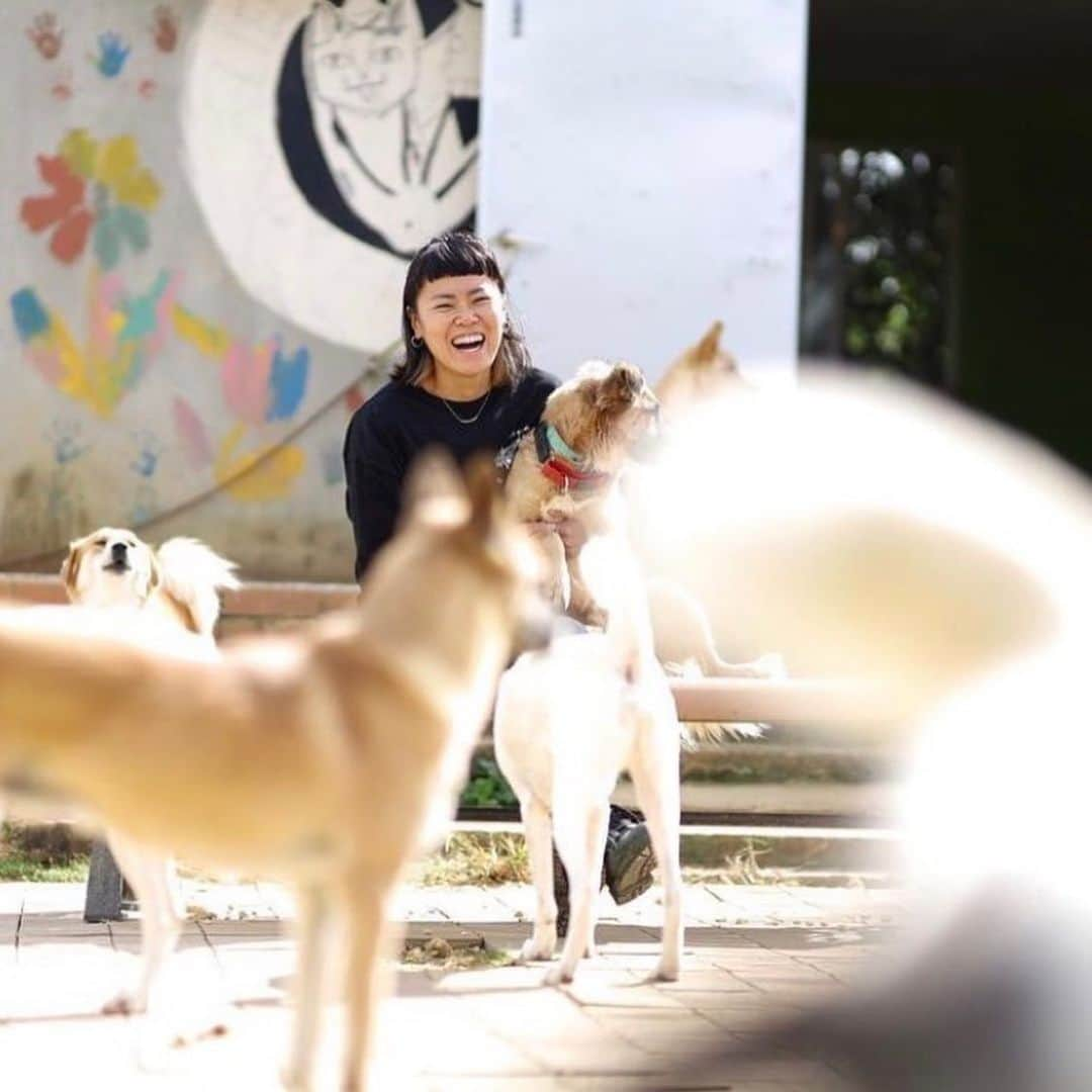 田中律子さんのインスタグラム写真 - (田中律子Instagram)「日本サップヨガ協会の　@japansupyogaassociation  仲間のエリナ🐕@save.the.animals385   宮古島で犬猫の保護活動🐈🐈‍⬛ 『SAVE THE ANIMALS』の代表もして頑張ってます🐕  エリナが今年の5月にウチに泊まりに来て、いっぱい悩みや目標をお酒飲みながら語り明かしたのね✨ その時に大好きなSNOOPYと、コラボグッズを作りたい❗️🐕と、熱く語っていたエリナ、何とその夢が叶いました❗️有言実行👏👏👏  SAVE THE ANIMALSとSNOOPYのコラボ Tシャツ🤩 売り上げの一部は犬猫のお世話の活動資金になります🙌🐕🐈  SNOOPY Tシャツだけでなく、可愛い Tシャツやタオル、ステッカーなどいっぱいあるからぜひチェックしてみてね☝️  https://miyakojima.base.shop/  仲間が頑張ってるのってすごいうれしいよね、応援したくなるし📣心から尊敬する✨エリナ、頑張れー🙌また疲れたら、悩みも愚痴も何でも聞くから、ウチにいつでも泊まりにおいでねー❤️叱咤激励します😂  みなさま、 @save.the.animals385  よろしくお願いします🐕🐈🙏  #okinawa  #okinawalife  #beachlife  #savetheanimals  #保護犬  #犬猫保護施設  #宮古島  #大好きな仲間  #応援お願いします」10月28日 12時01分 - ri2kotanaka