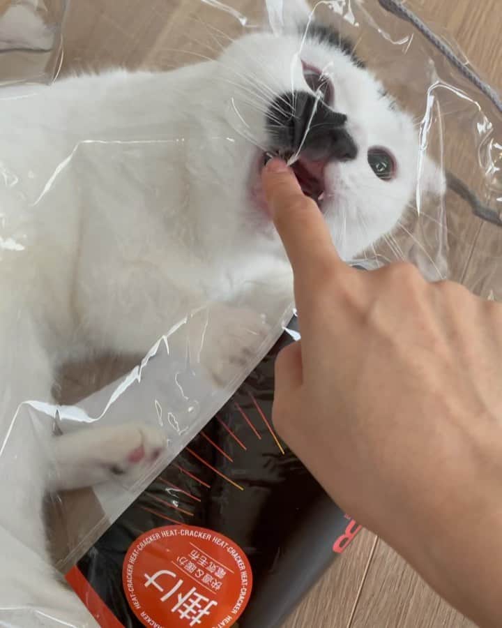 藤井ゆきよのインスタグラム