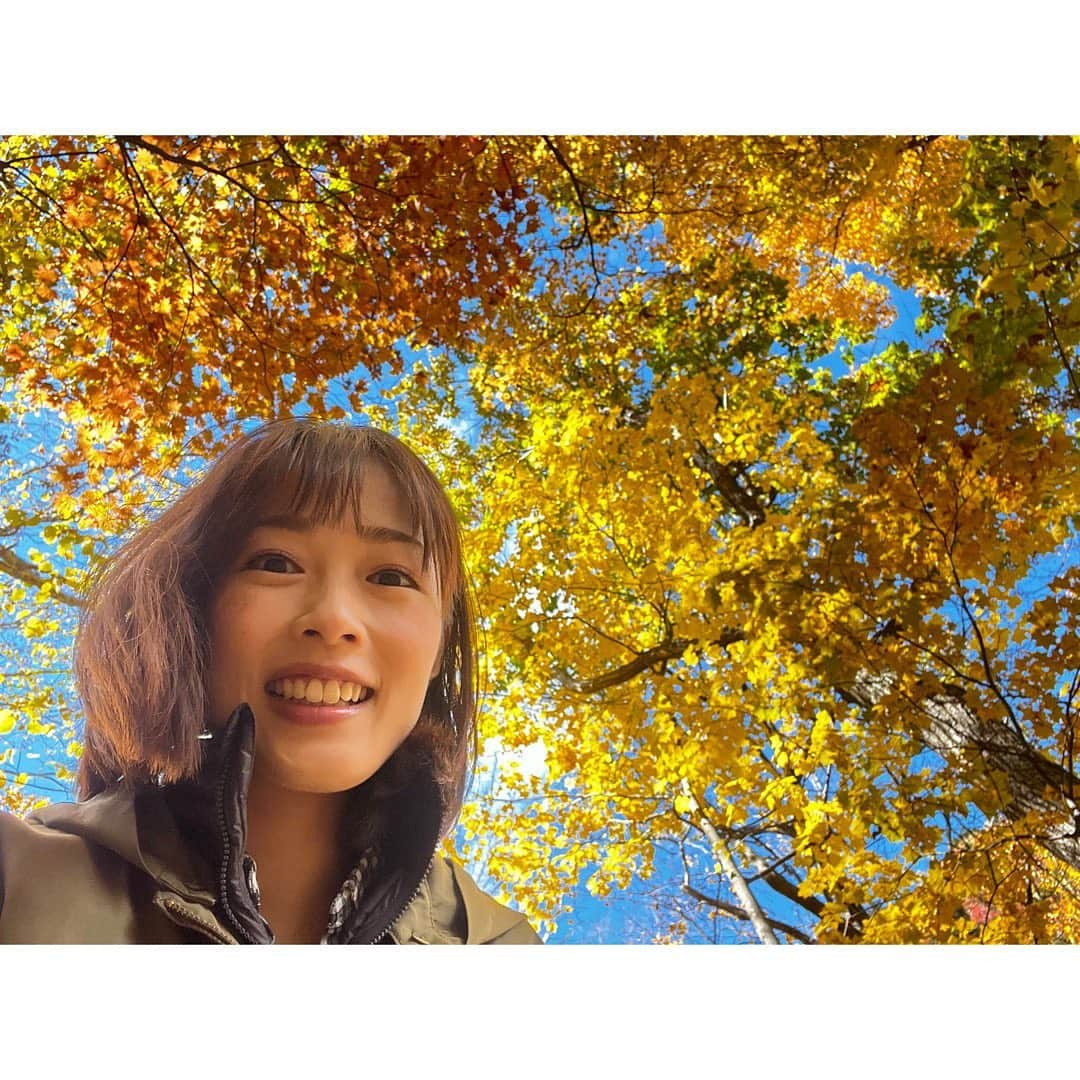 高橋春花さんのインスタグラム写真 - (高橋春花Instagram)「. とある日。秋真っ盛り。 #青空と紅葉 #高橋春花#アナウンサー #HTB」10月28日 17時13分 - htb_takahashiharuka