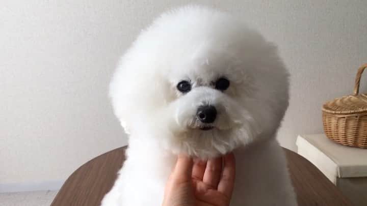 ゆうのインスタグラム