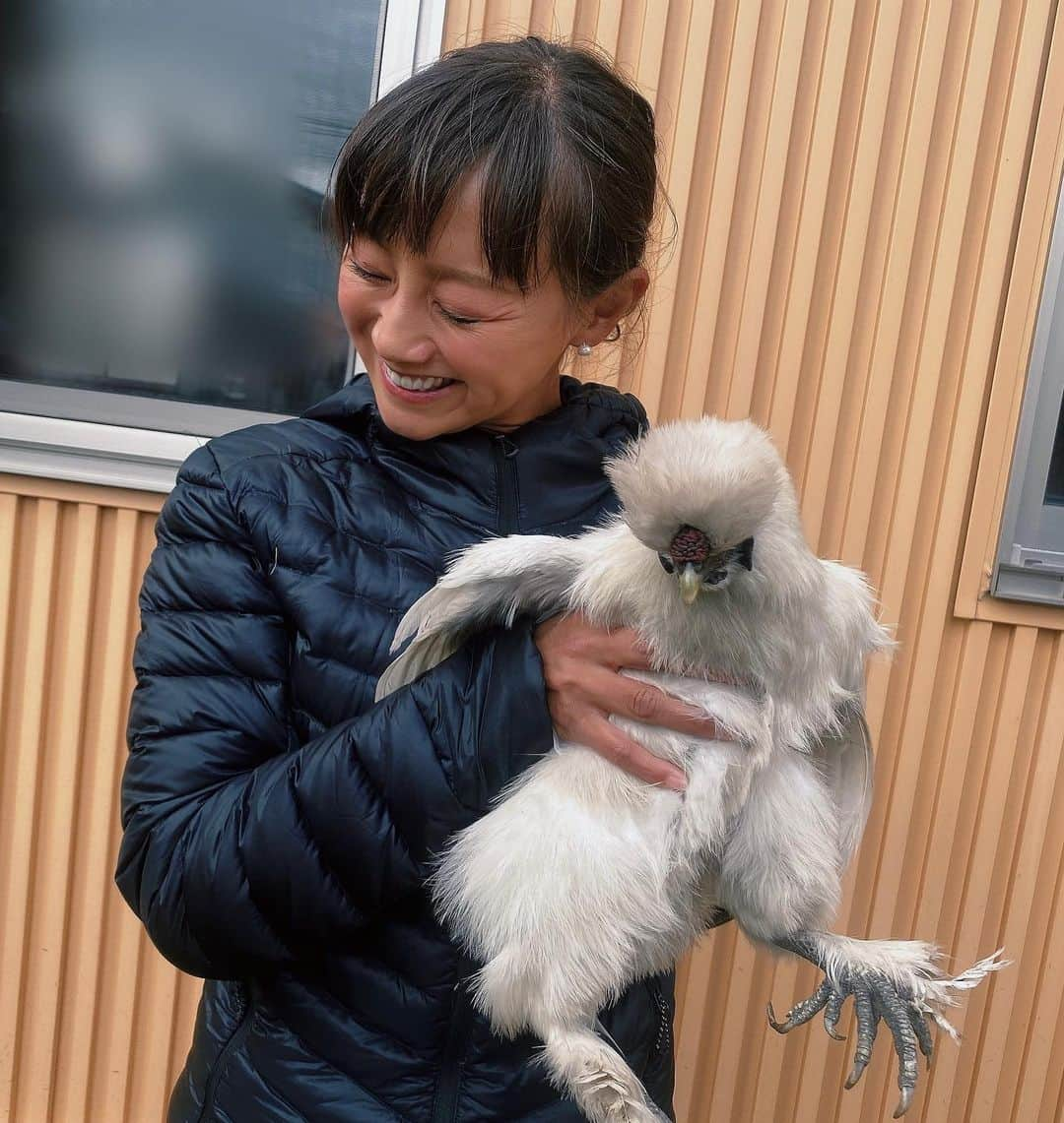 福島和可菜のインスタグラム：「可愛過ぎる😍  烏骨鶏ちゃん🐓  完全に仲良くなりました❤️  #生き物大好き #動物 #可愛い #鳥 #烏骨鶏 #Love #outdoor #癒し #😍 #🥰 #🐓 #❤️ #✨ #☀️ #🙌」