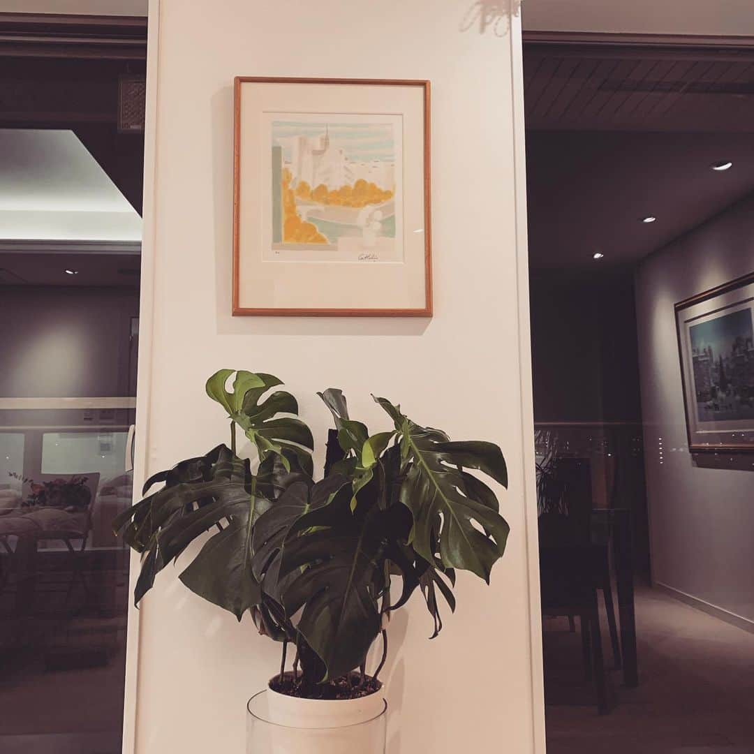 長野智子さんのインスタグラム写真 - (長野智子Instagram)「模様替えでリビングにベルナール•カトランの「パリの白いバラ」を飾ってみました。これE.Aで、和紙にパリの家の窓越しから観えたセーヌとノートルダム寺院を描いた風景。  20年以上前に銀座の画廊で背伸びして購入したものです。  気分で思い入れのあるアートを掛け替えるのはお休みタイムの悦楽です🥰  #休日 #ベルナールカトラン #模様替え #インテリア #リビング #アート」10月29日 18時10分 - naganotomoko